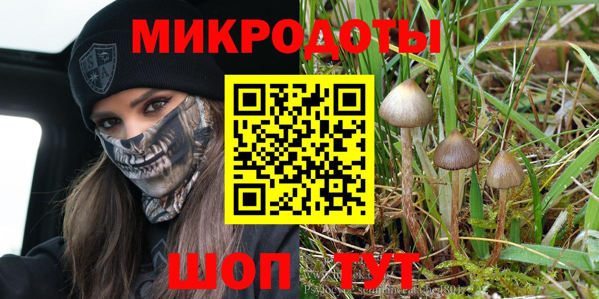 Псилоцибиновые грибы прущие грибы  хочу наркоту  Отрадное  Галлюциногенные грибы Cubensis  Вход с VPN 
